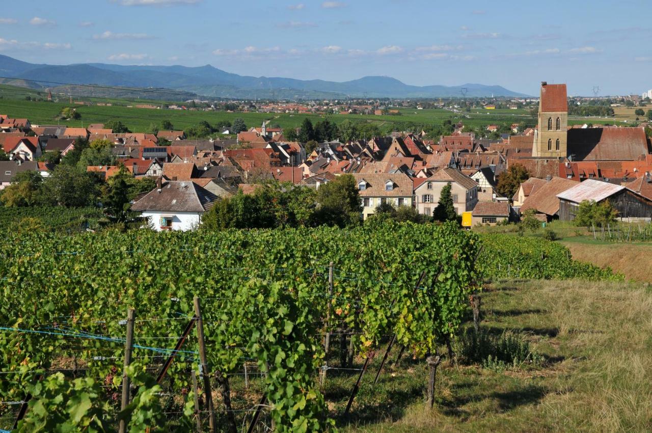B&B Relais Du Vigneron - Jean-Luc Et Bruno Meyer Эгишем Экстерьер фото