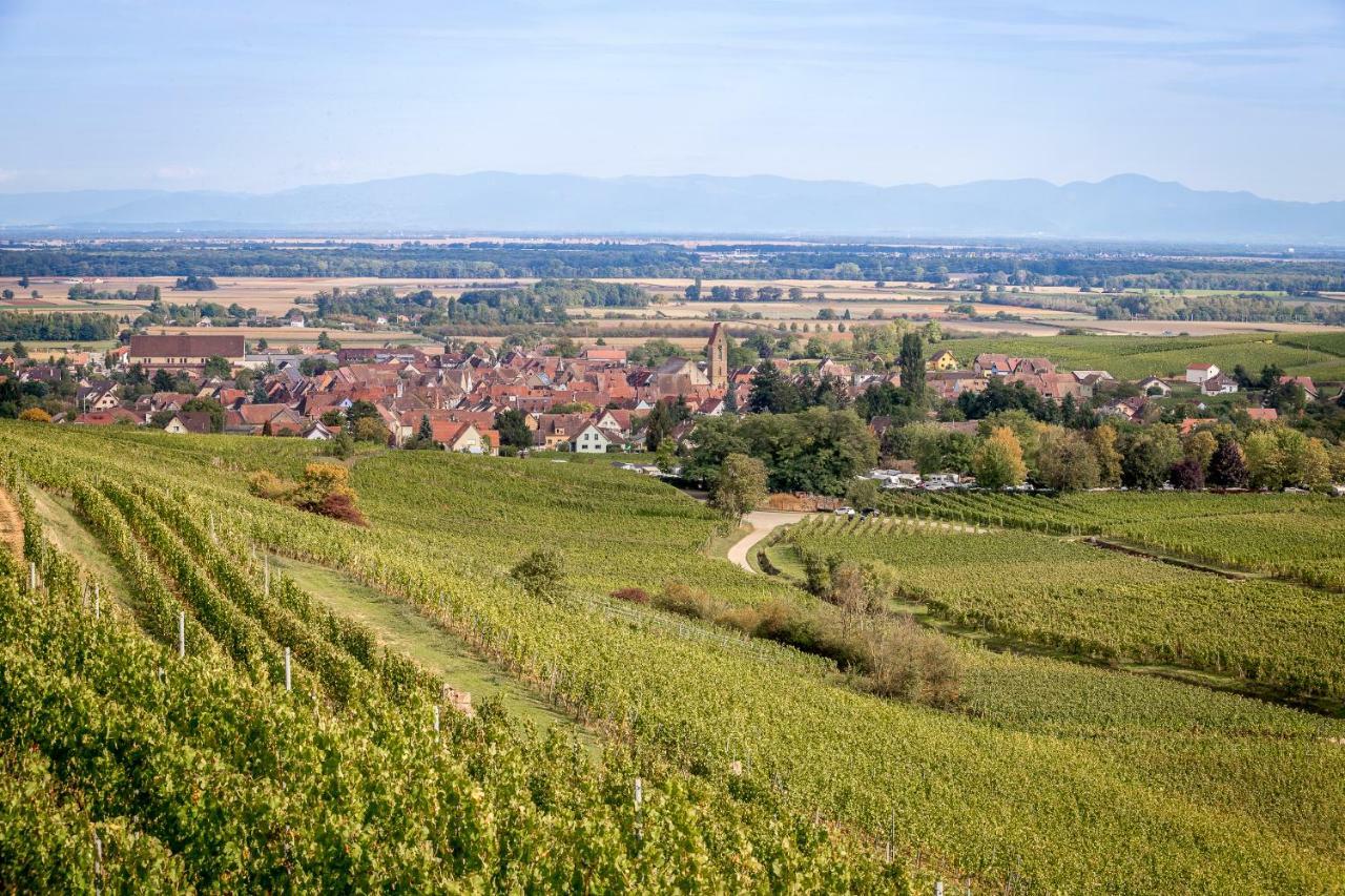 B&B Relais Du Vigneron - Jean-Luc Et Bruno Meyer Эгишем Экстерьер фото